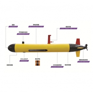 Pilot 2000 AUV